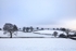 Snowy Landscape