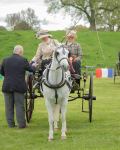 Attelage -1019
