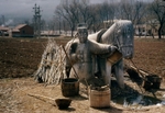 The farmer