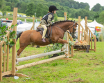 Dunblane show-85