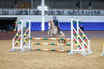 SBM_000981