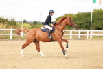 SBM_006971