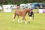 SBM_10291