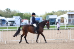 SBM_09096