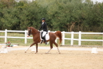 SBM_02078