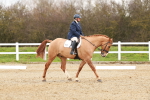 SBM_001615