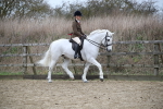 SBM_006295