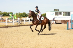 SBM_002582