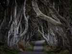 Northern Ireland portfolio