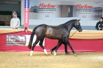 SBM_02273