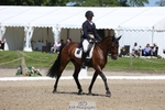 151-GREANNANSTOWN_QUARRYMAN_GIRL-Grace_Taylor-WEDTrotUp+DR portfolio