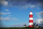 DSC02950