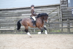 SBM_007077