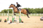SBM_007013