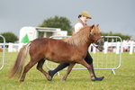 DSC04531