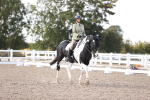 SBM_07949