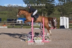 CLASS 4 British Novice/ 90cm Open portfolio