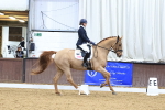SBM_001677