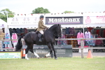 SBM_11231