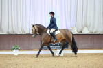 SBM_002245