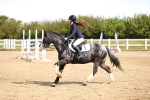 SBM_000827
