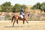 SBM_001353