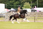 SBM_06190