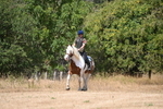 WJ6_9198