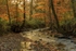 Autumn at Wenchford