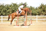 SBM_000950