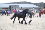 SBM_007254
