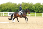 SBM_006622