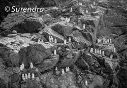 Jizo on Sado Island portfolio