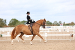 SBM_03490