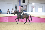 SBM_07228