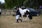 WJ6_8086