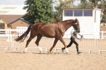 SBM_06844