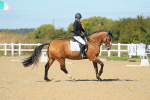 SBM_001502
