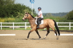SBM_007852
