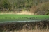 Wexford Wildfowl Nature Reserve, Co. Wexford, Ireland