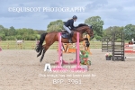 BPP_3961