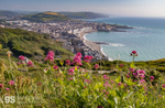 Aberystwyth