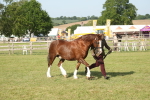 SBM_10353