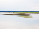 KOUCHIBOUGUAC NP - NEW BRUNSWICK