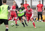 Loveridge Cup Final_27-05-2017-1
