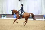 SBM_007231