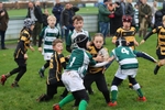 Kendal Rugby Under 10's (3/11/24) portfolio