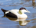 20140419-3K8A0322