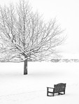 Borrans Park 01
