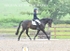 BPP_9732